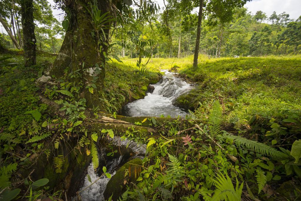 Blue River Resort & Hot Springs Liberia Exterior photo